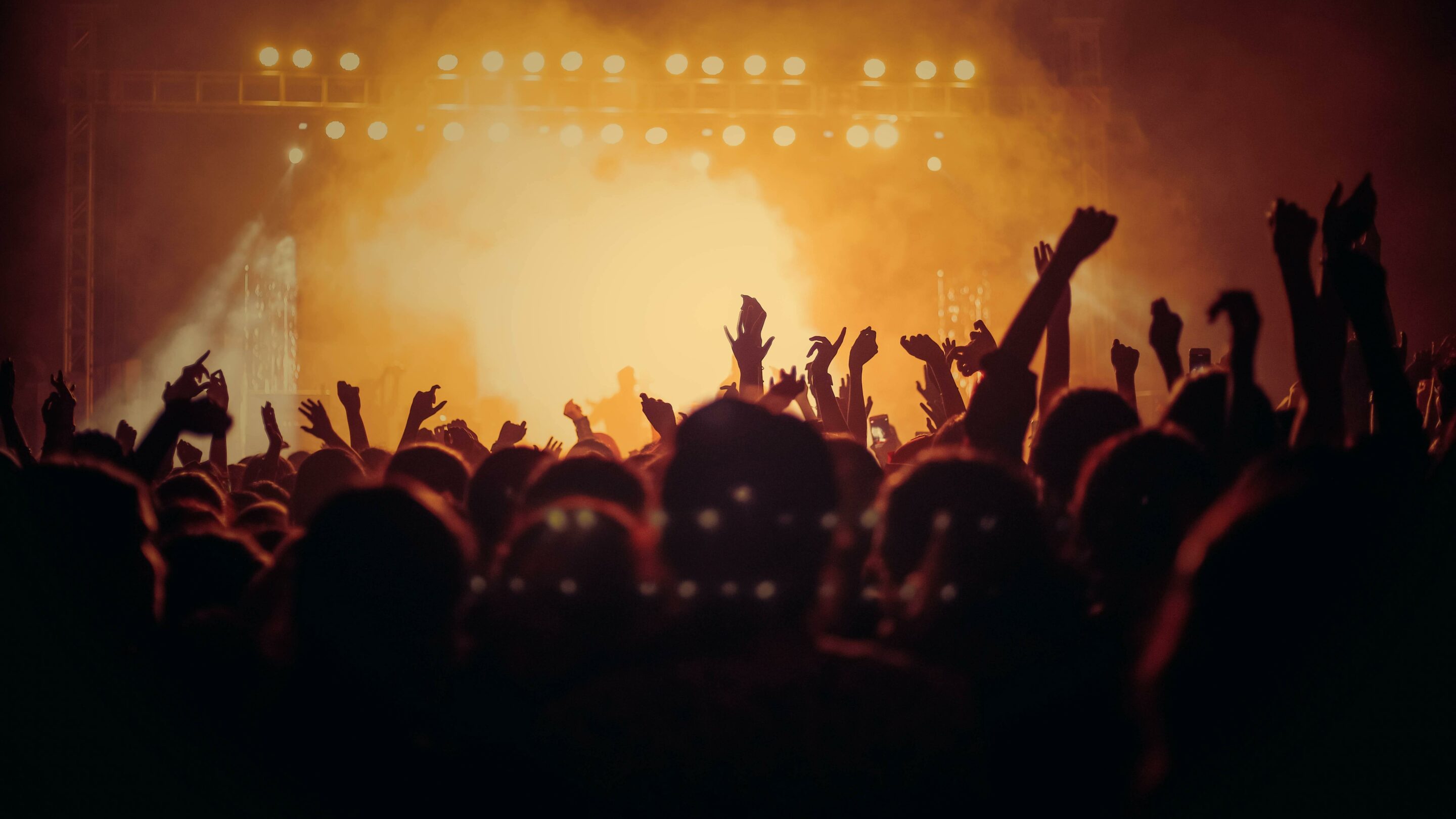 Silhouetted figures with raised hands in a crowded concert audience
