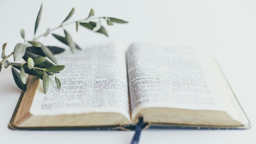 Image of an open bible with a eucalyptus branch resting on top of it
