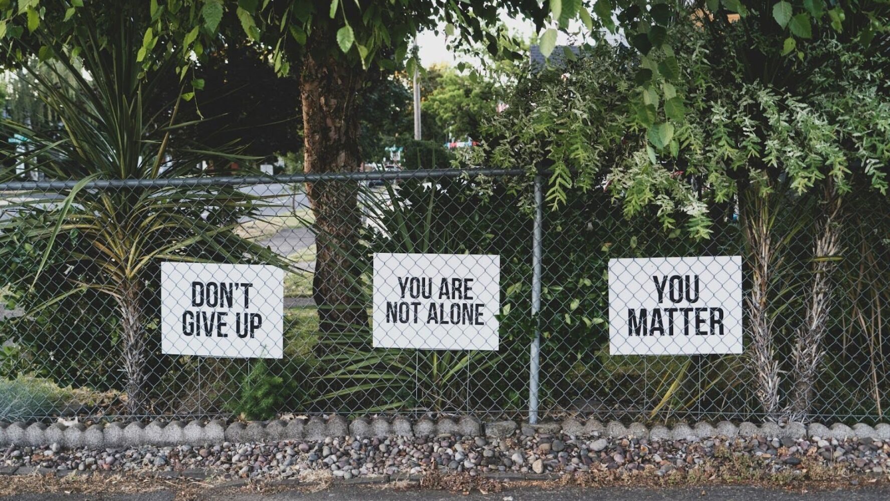 Image of a fence with three signs attached that read 'Don't give up', 'You are not alone' and 'You matter'