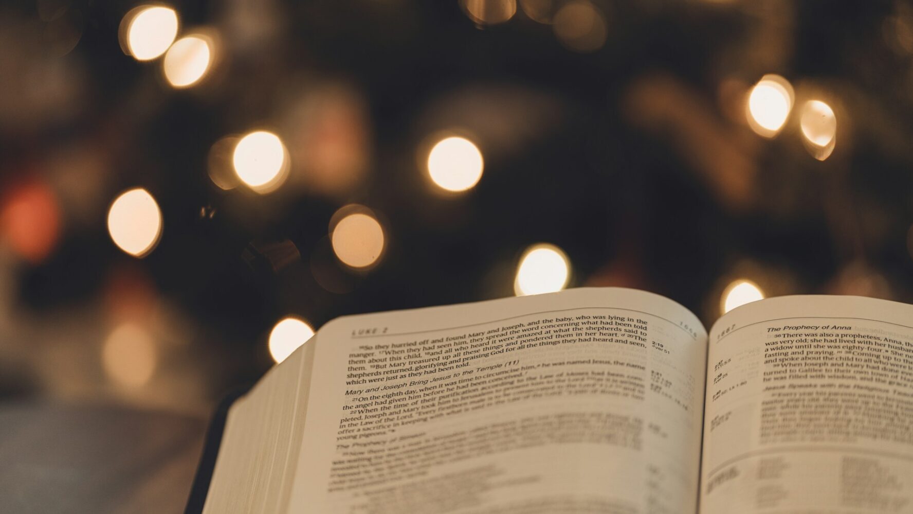 Open bible with Christmas tree and lights in the background