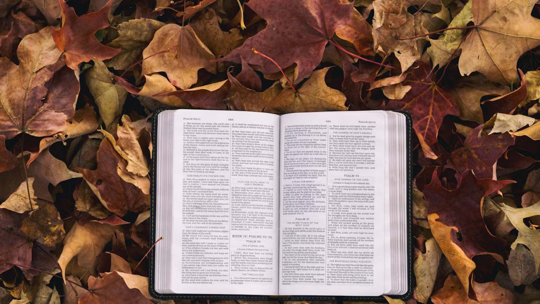An open Bible on some autumn leaves