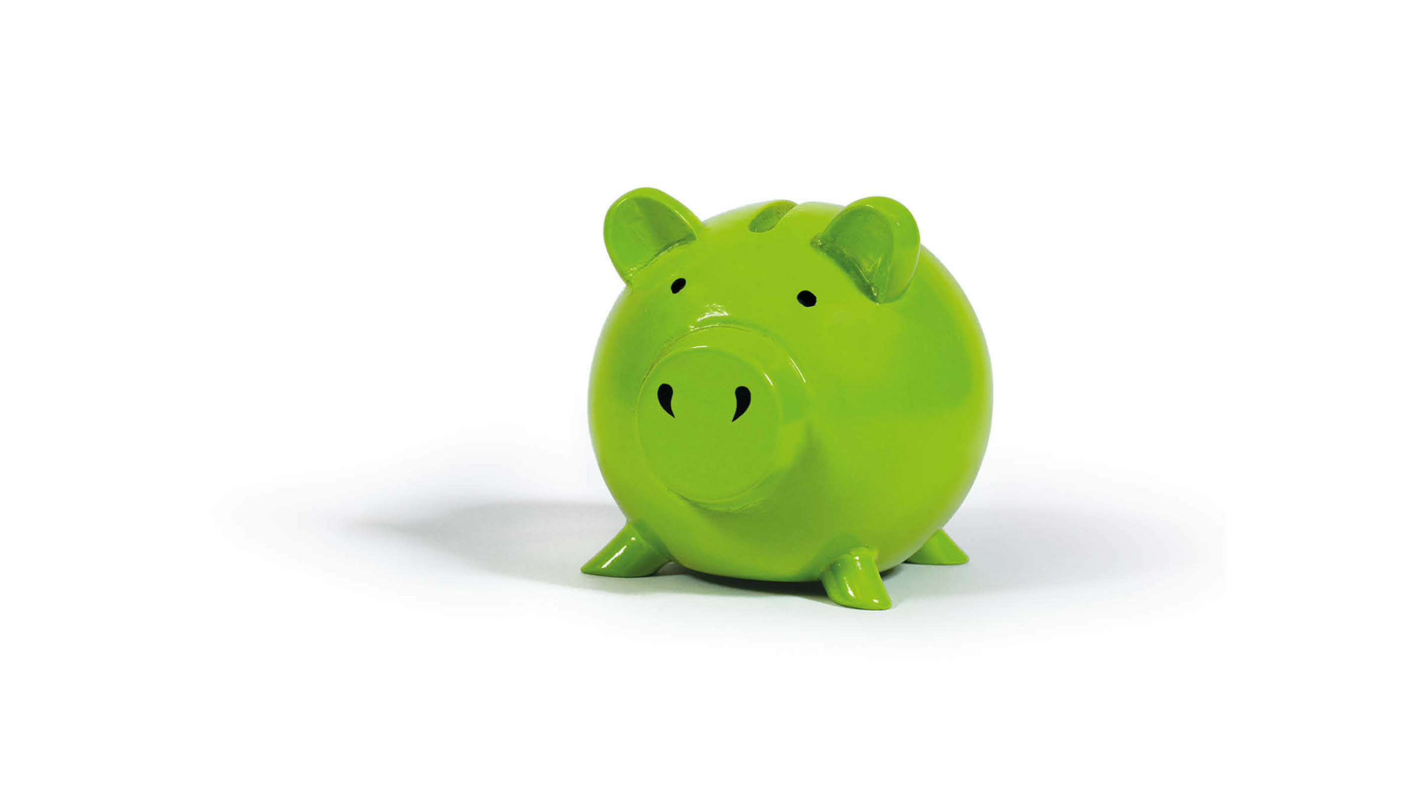 Green piggy bank.