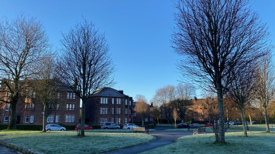 Frost on an area of grass and trees, with houses and blue sky in the background