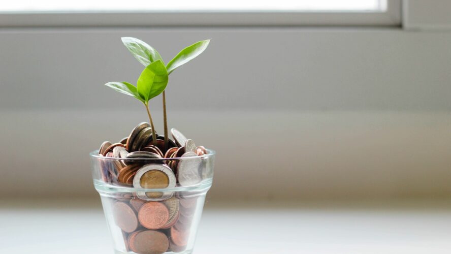 Plant growing from a pot of coins