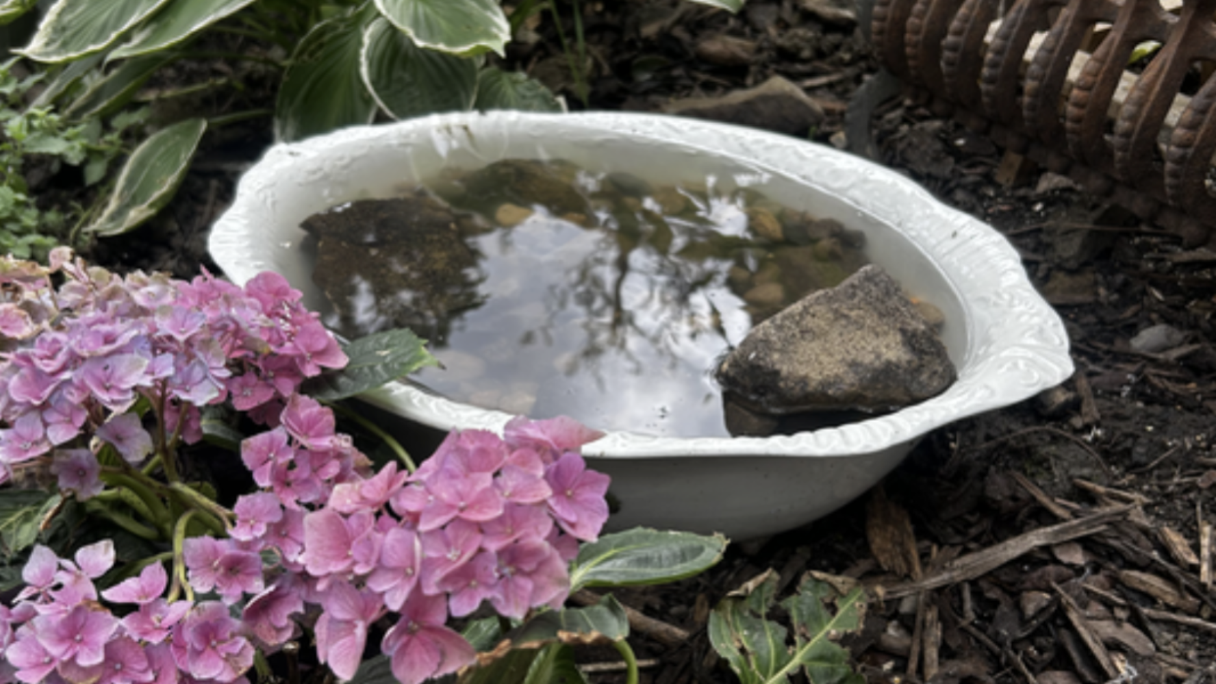 White bird bath with stones and rocks in, made from a ceramic bowl.