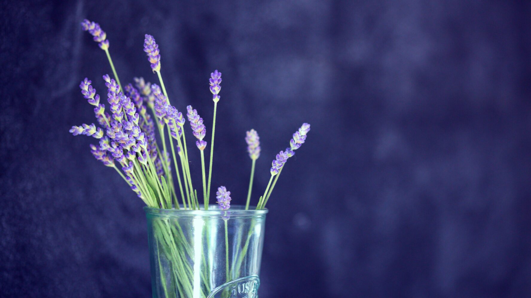 A bunch of lavendar in a glass vase