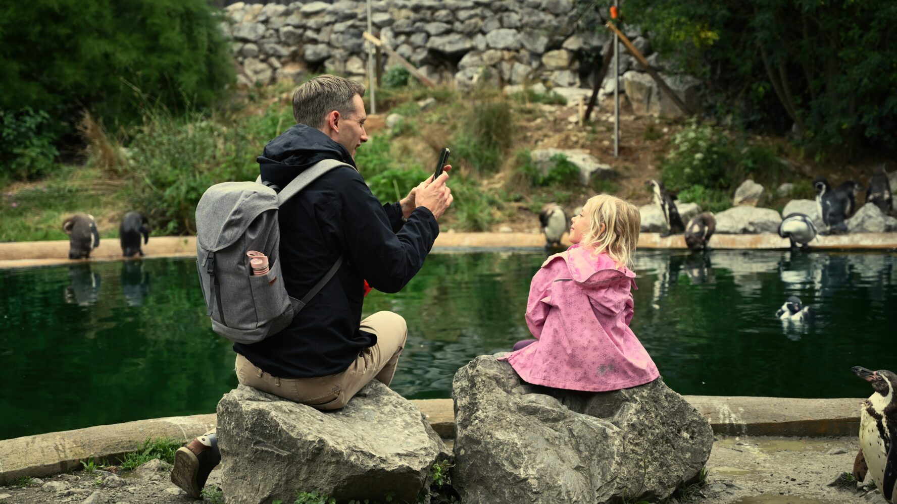 A photo of a dad and daughter at a zoo sat inside a penguin enclosure