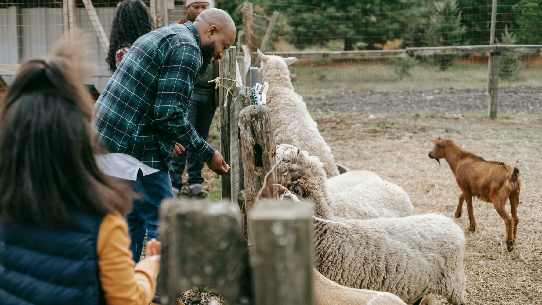 family farm trip