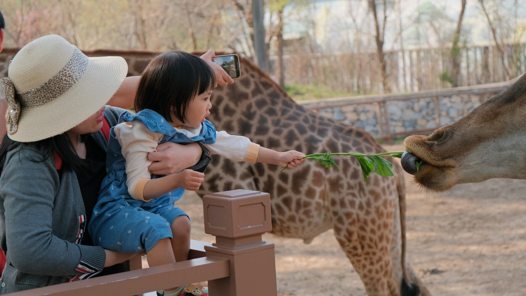A mum and daughter at a zoo, feeding a giraffe with a leaf