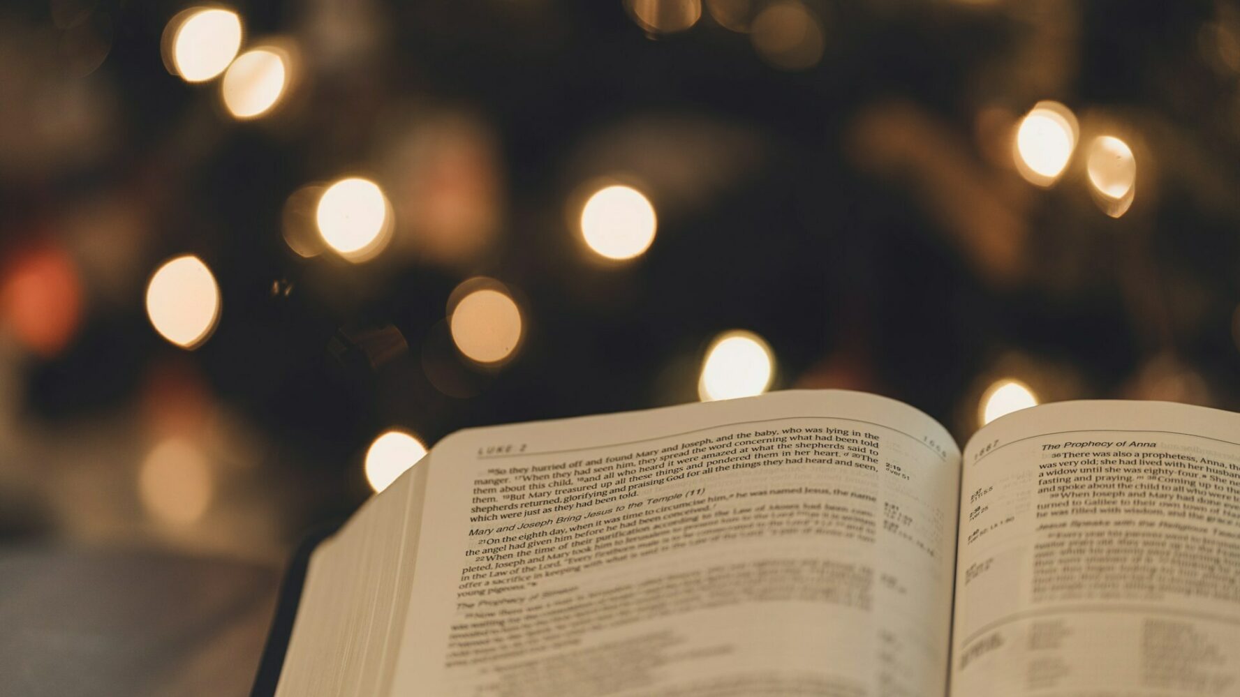 Image showing a bible opened, with a Christmas tree in the background