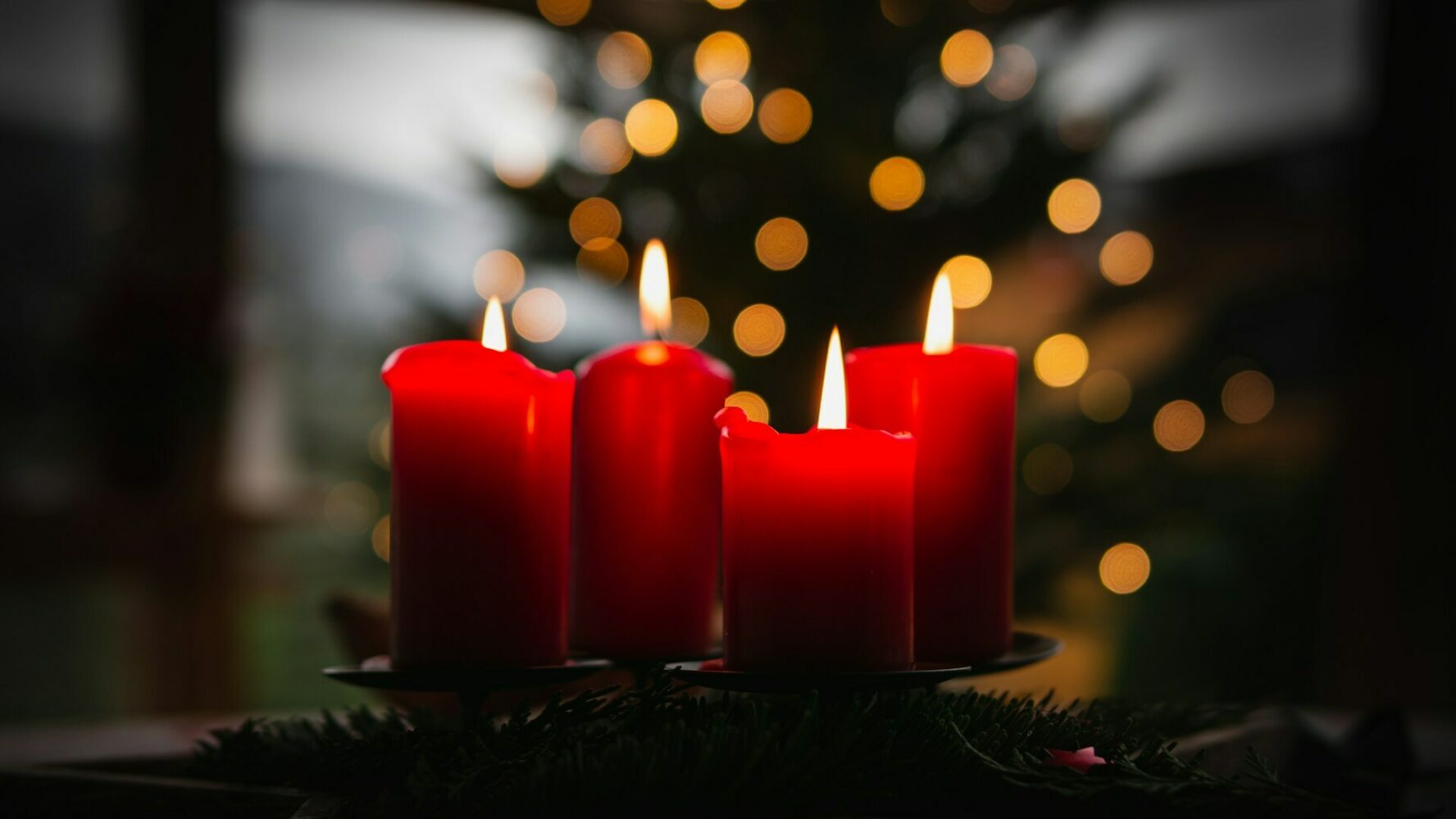 Image showing four red candles, with a Christmas tree in the background