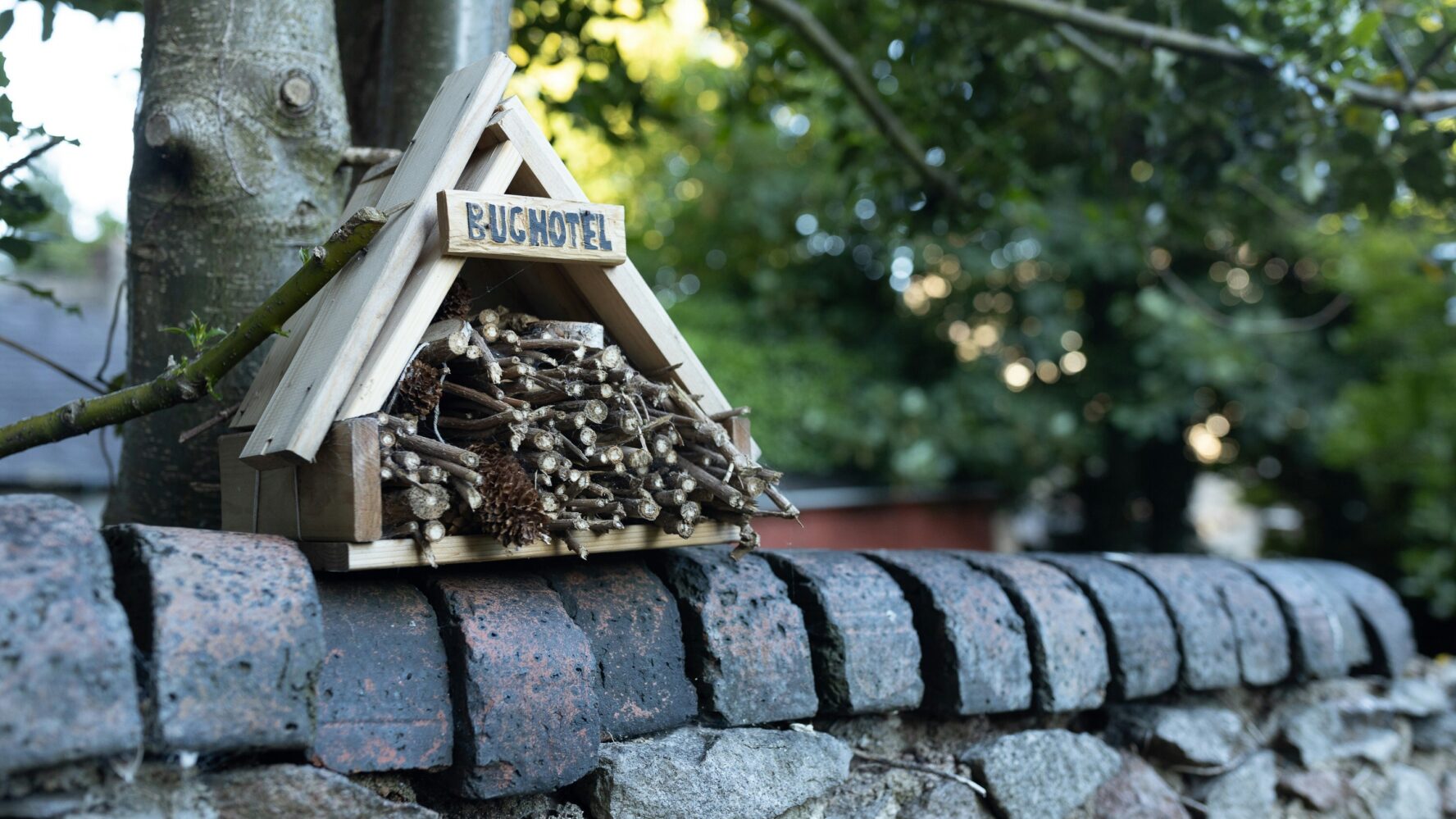 A bug hotel made from natural materials like twigs and leaves, on a garden wall
